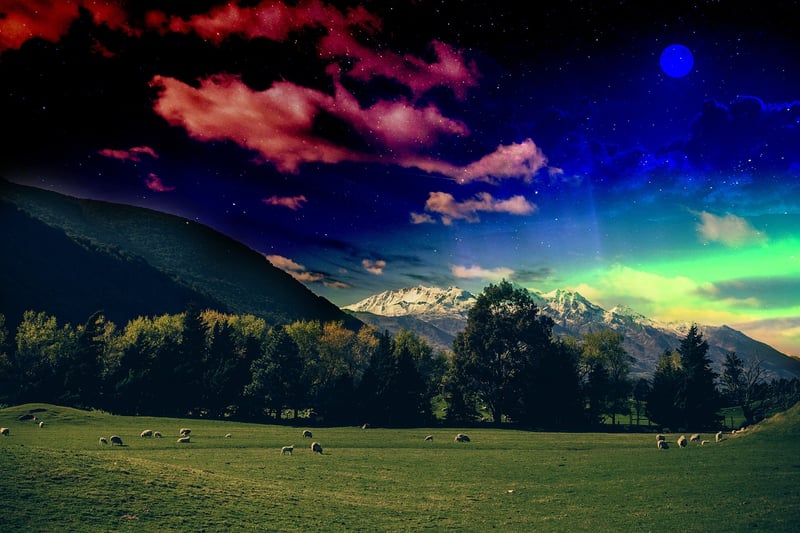 Mystic Meadows