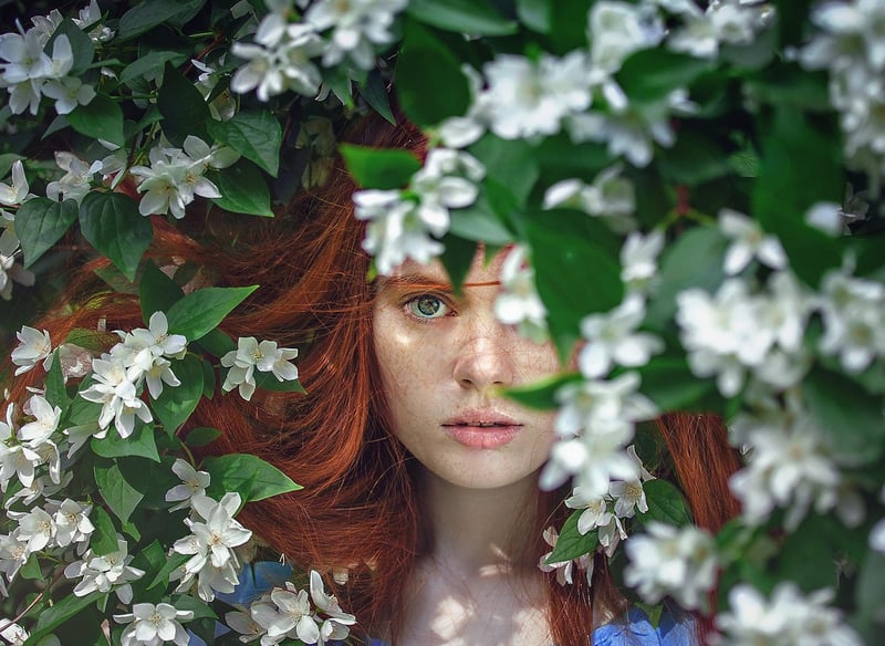 Whimsical Flowers