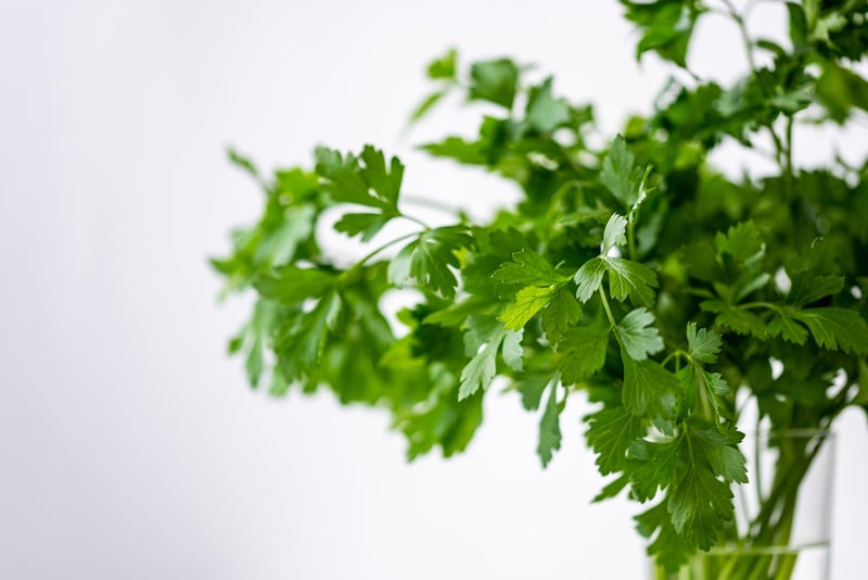 Magical Herb Kit
