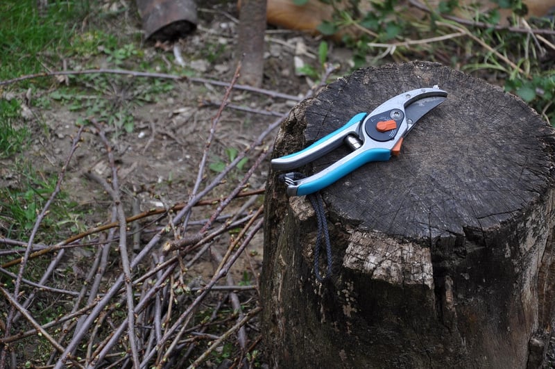 Enchanted Pruning Shears
