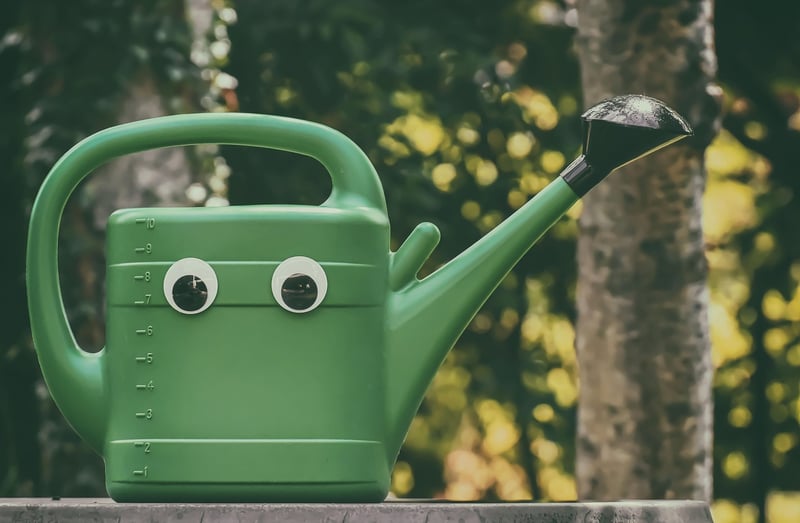 Enchanted Watering Can